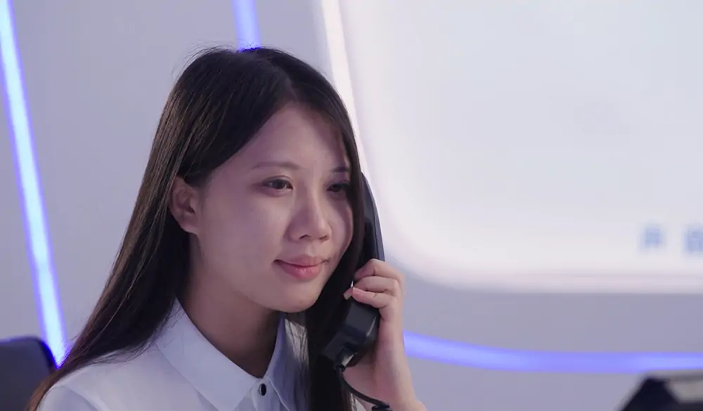 Main Pre-Sales Services