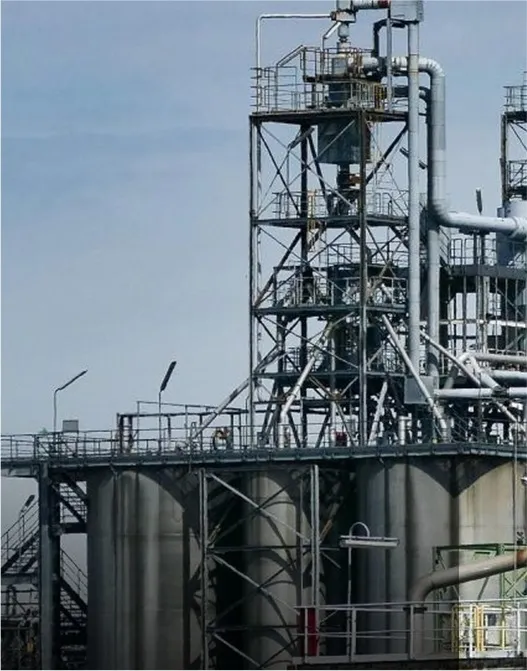 Petrochemical Facilities